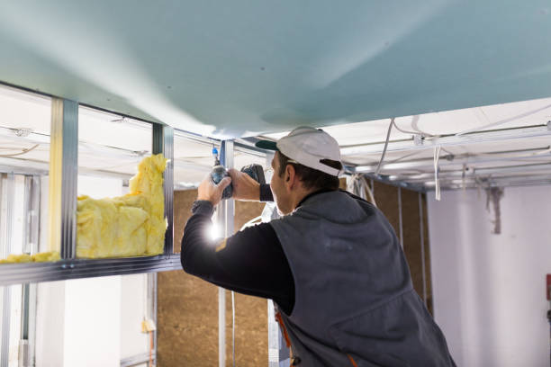 Best Commercial Insulation in Luck, WI